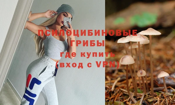 mix Богородицк